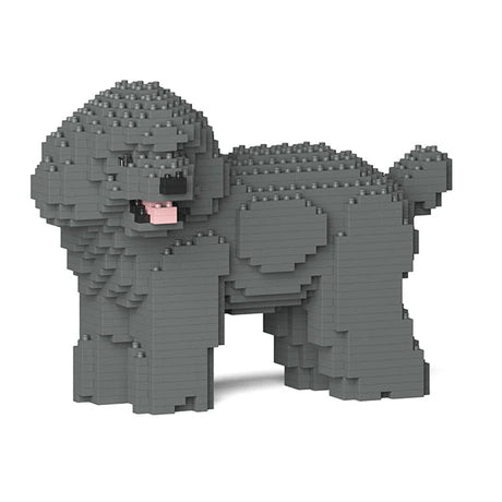 Toy Poodle 05-M06