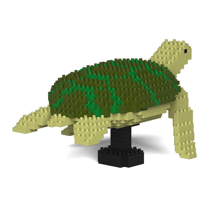 Sea Turtle 01-M02