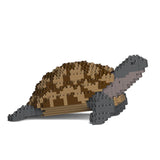 Griechische Schildkröte 01 