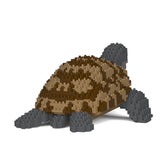 Greek Tortoise 01