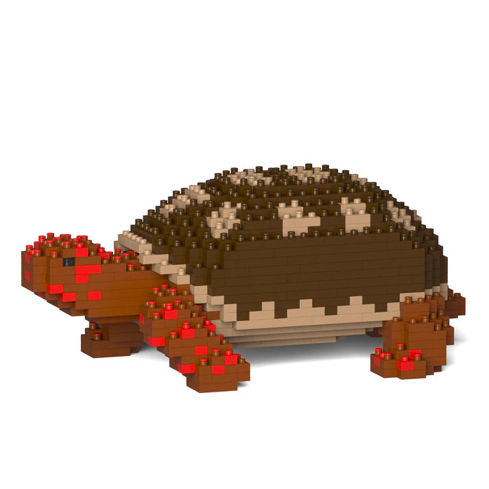 Red Footed Tortoise 01