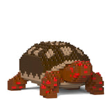 Red Footed Tortoise 01