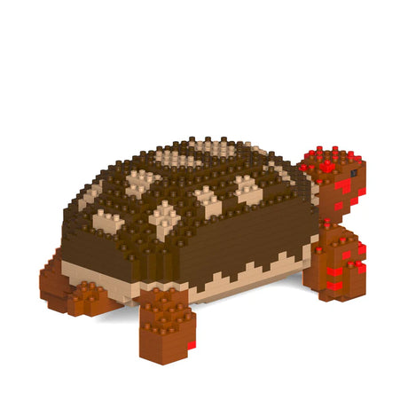 Red Footed Tortoise 01