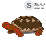 Red Footed Tortoise 01