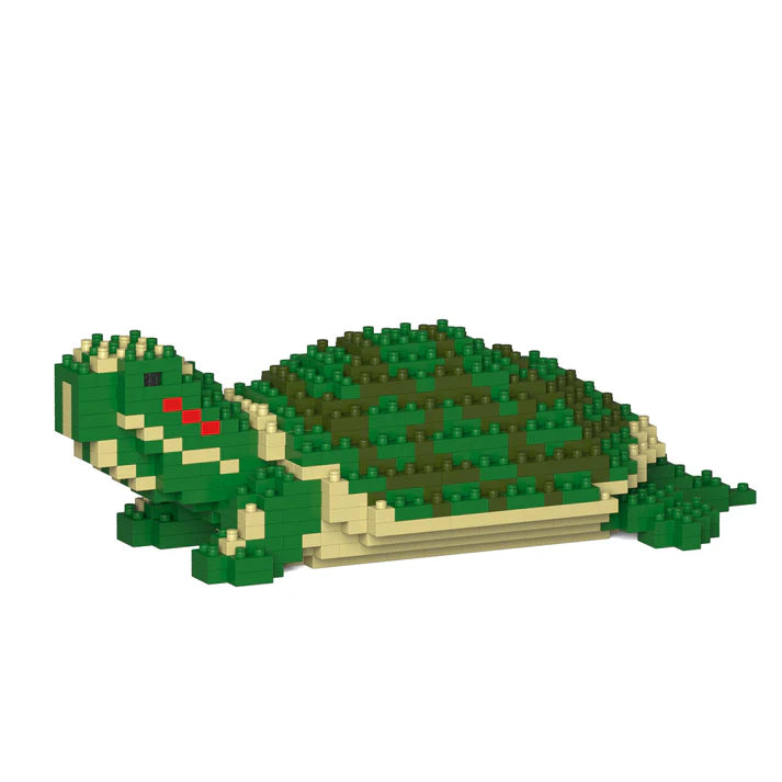 Red Eared Slider 01