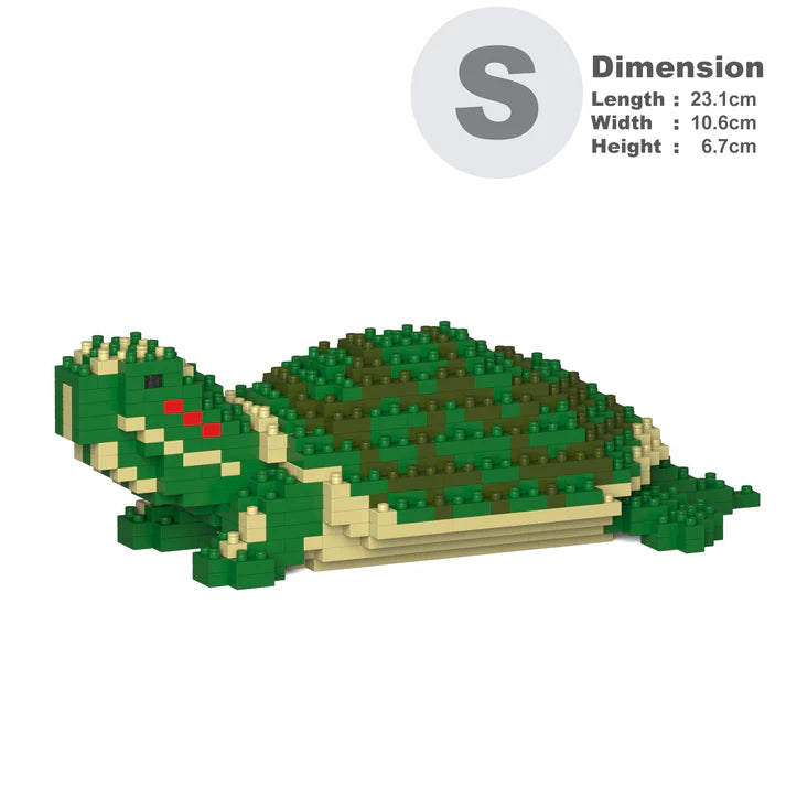 Rotwangen-Schmuckschildkröte 01 