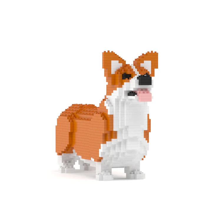 Corgi galés 02-M01B 