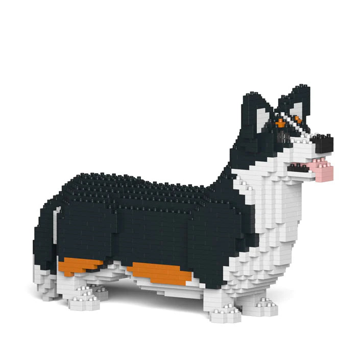 Corgi galés 02-M03 