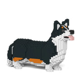 Welsh Corgi 02-M03 