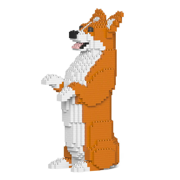 Corgi galés 05-M01 