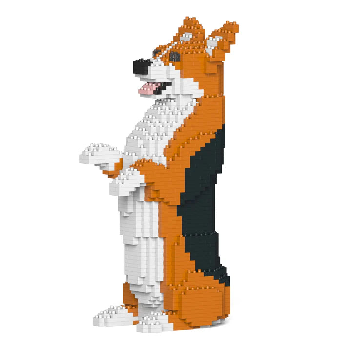 Corgi galés 05-M02 