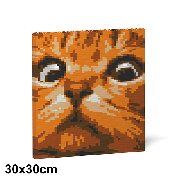 Pintura de ladrillos con ojos de gato 02S-M01 