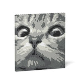 Pintura de ladrillos con ojos de gato 02S-M02 