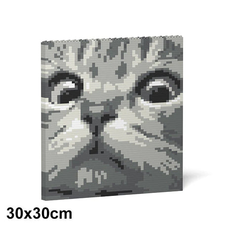 Pintura de ladrillos con ojos de gato 02S-M02 