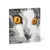 Cat Eyes Brick Painting 03S