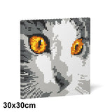 Cat Eyes Brick Painting 03S