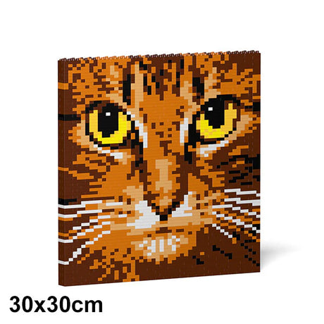 Pintura de ladrillos con ojos de gato 04S-M01 