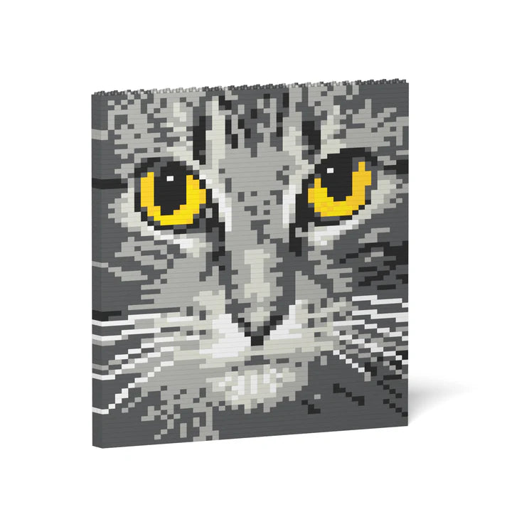 Pintura de ladrillos con ojos de gato 04S-M02 