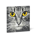 Pintura de ladrillos con ojos de gato 04S-M02 