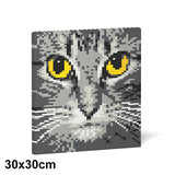 Pintura de ladrillos con ojos de gato 04S-M02 