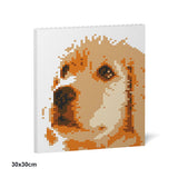 Pintura de ladrillos de Golden Retriever 01S 