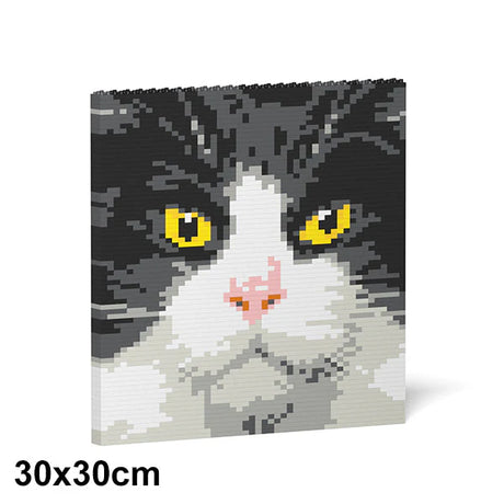 Pintura de ladrillos de gato de esmoquin 01S 